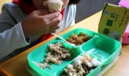 天津营养餐爆料视频网,网友热议