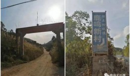 村头最新爆料,最新爆料背后的惊人真相