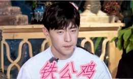 娱乐圈明星情侣爆料大全,揭秘明星恋情背后的真相